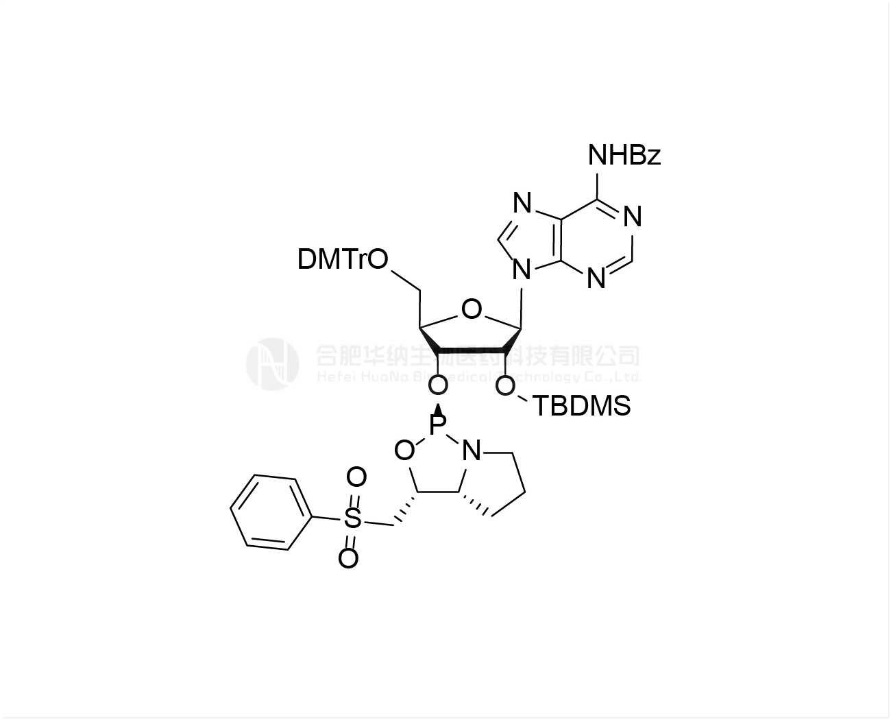 DMTr-2'-O-TBDMS-rA(Bz)-3'-(D)-PSM-Phosphoramidite