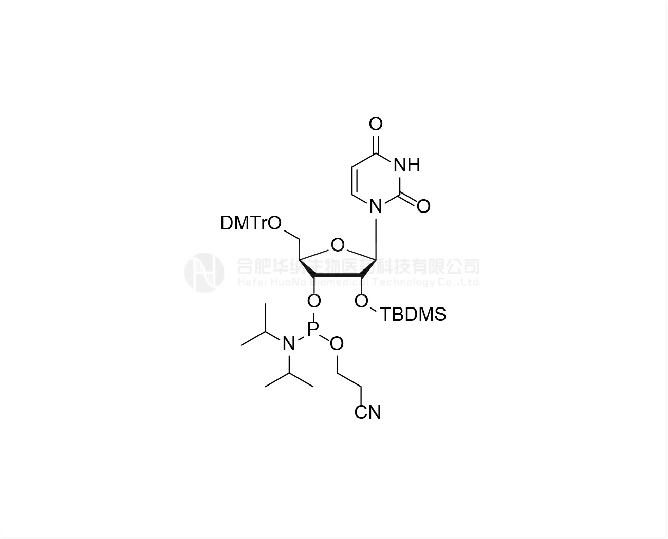 DMTr-2'-O-TBDMS-rU-3'-CE -Phosphoramidite