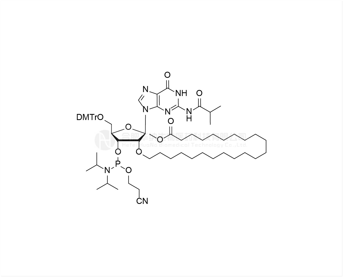 DMTr-2'-O-(Methyl behenate)-rG(iBu)-3'-CE-Phosphoramidite