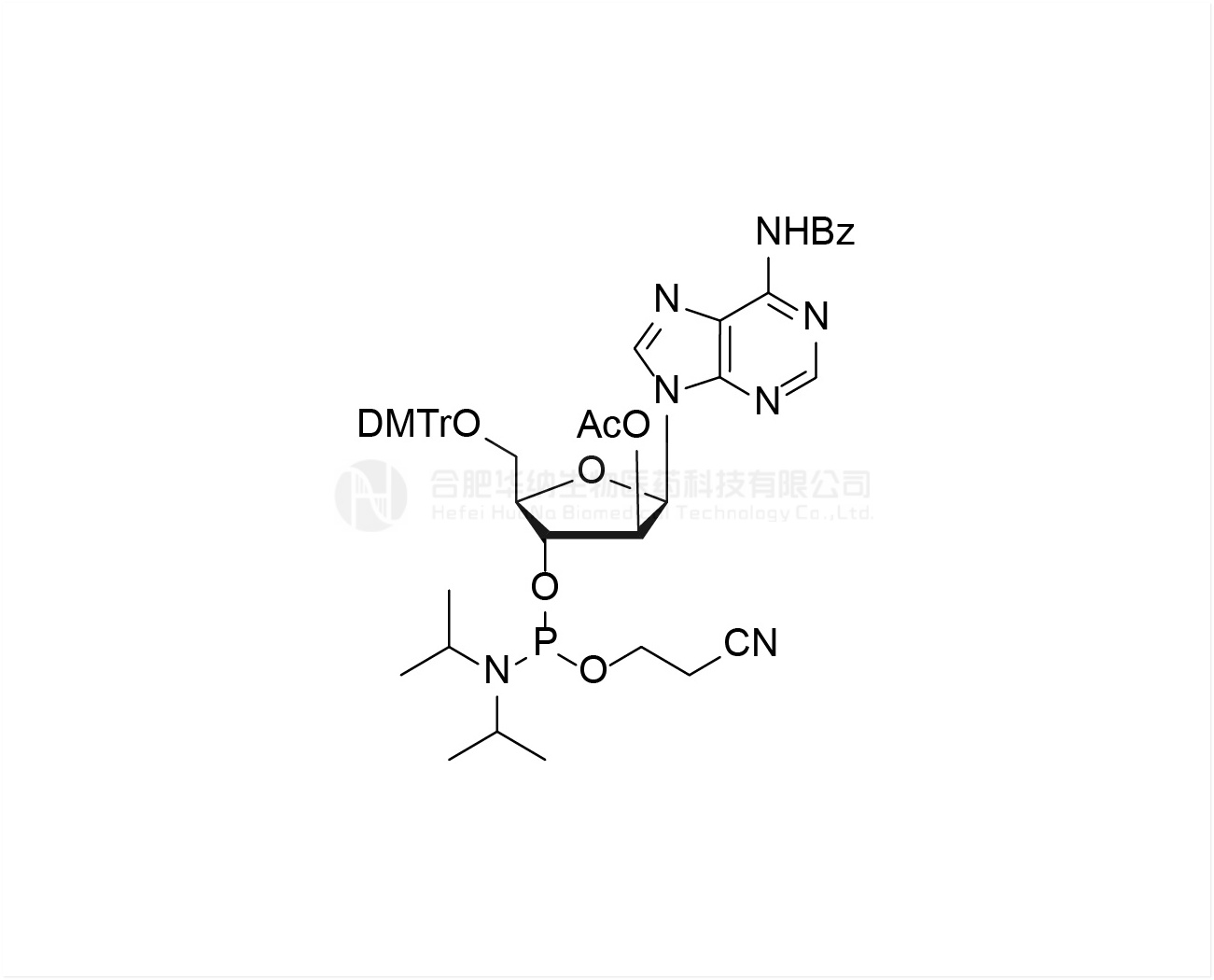 DMTr-2'-ara-OAc-A(Bz)-3'-CE-Phosphoramidite