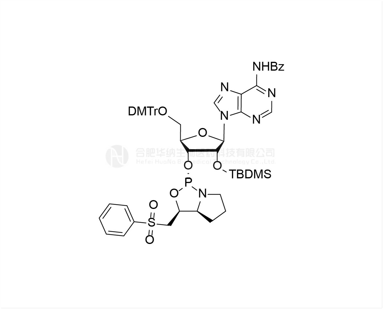 DMTr-2'-O-TBDMS-rA(Bz)-3'-(L)-PSM-Phosphoramidite