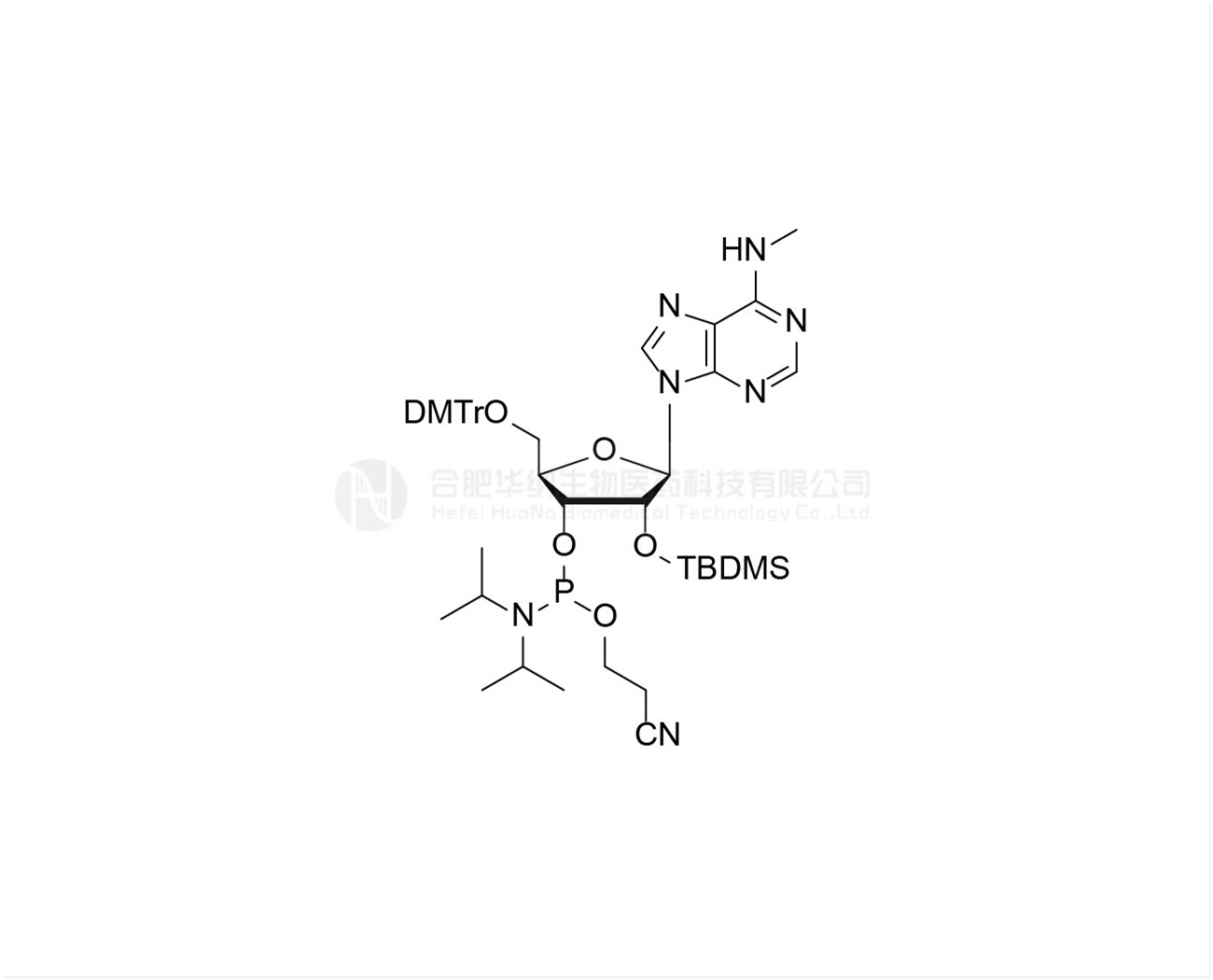 DMTr-2'-O-TBDMS-N6-Me-rA-3'-CE - Phosphoramidite