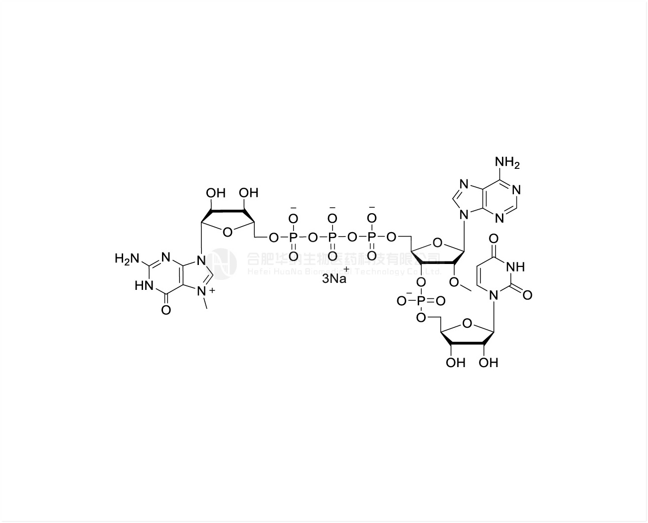 CAP GAU m7G(5')ppp(5')(2'OMeA)pU 100mM Sodium Solution