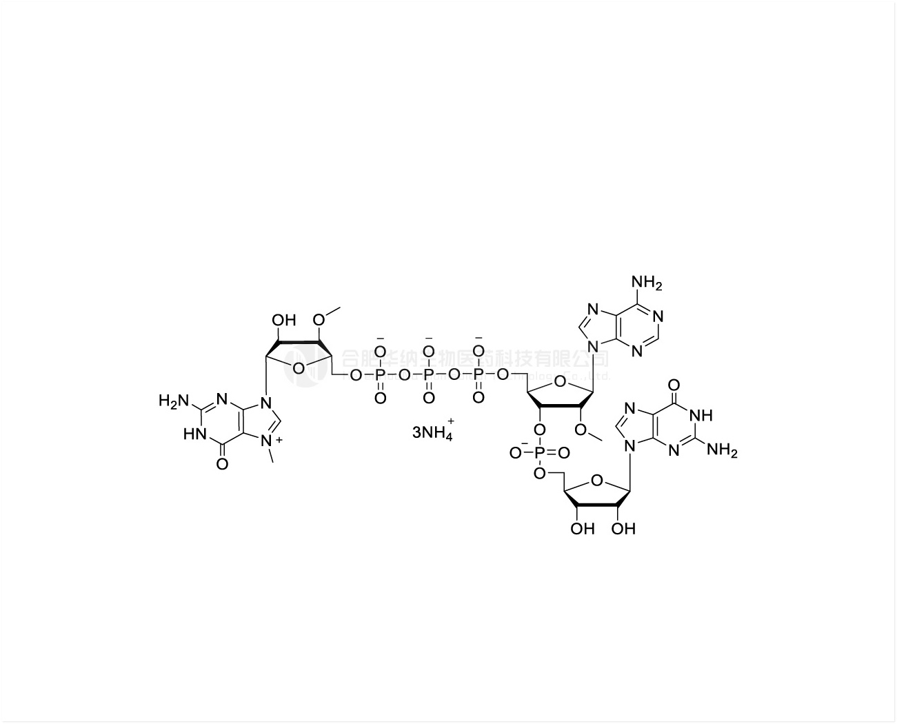 CAP GAG(3'OMe) m7(3'OMeG)(5')ppp(5')(2'OMeA)pG 100mM Ammonium Solution, GMP grade