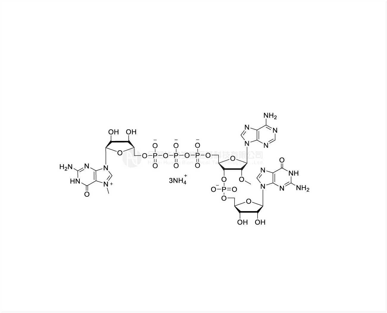 CAP GAG m7G(5')ppp(5')(2'OMeA)pG Ammonium Salt