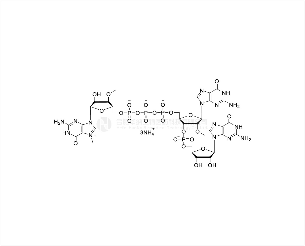 CAP GGG(3'OMe) m7(3'OMeG)(5')ppp(5')(2'OMeG)pG 100mM Ammonium Solution