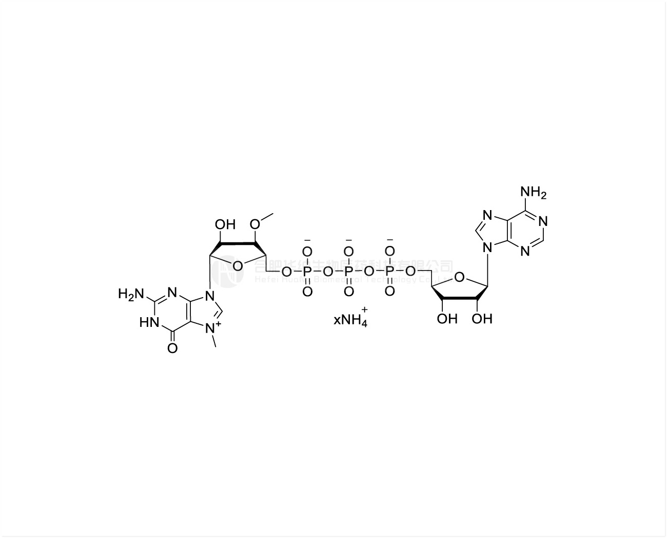 m7(3'OMeG)(5')ppp(5')A 100mM Ammonium Solution