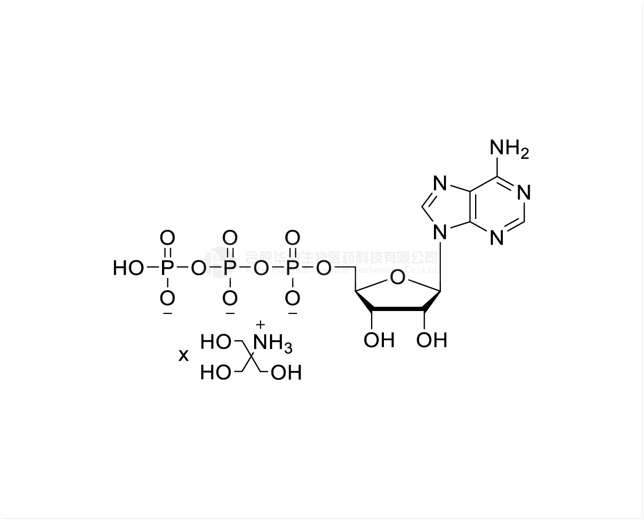 ATP 200mM Tris Solution, GMP grade