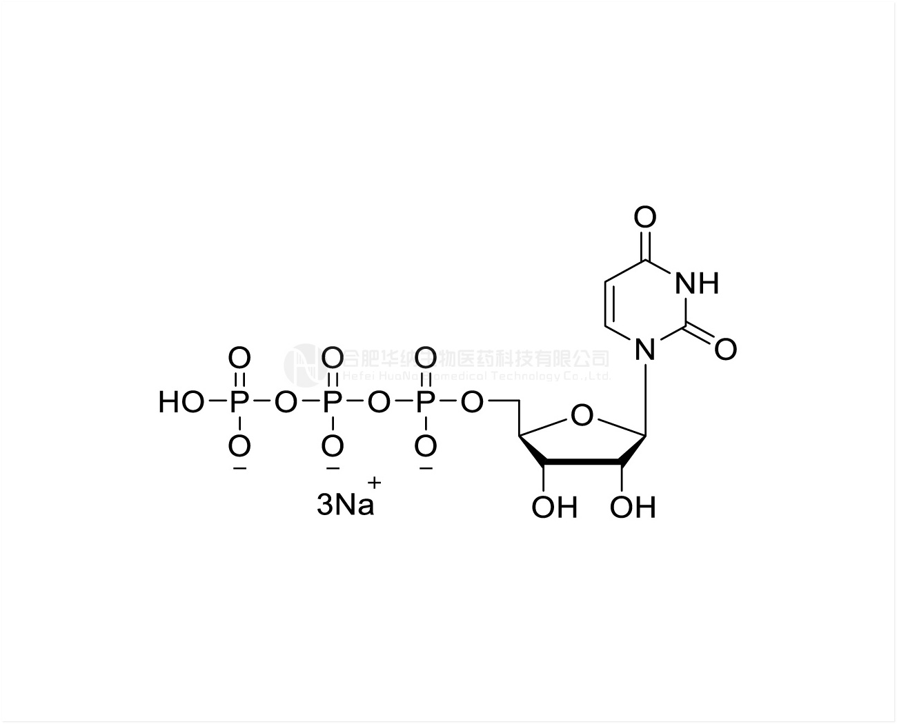 UTP 100mM Sodium Solution, GMP grade