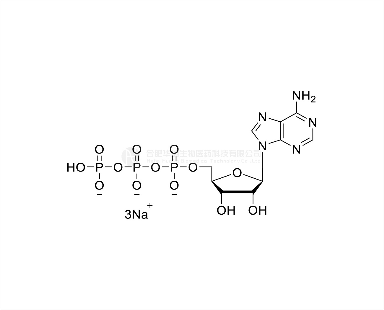 ATP 100mM Sodium Solution, GMP grade