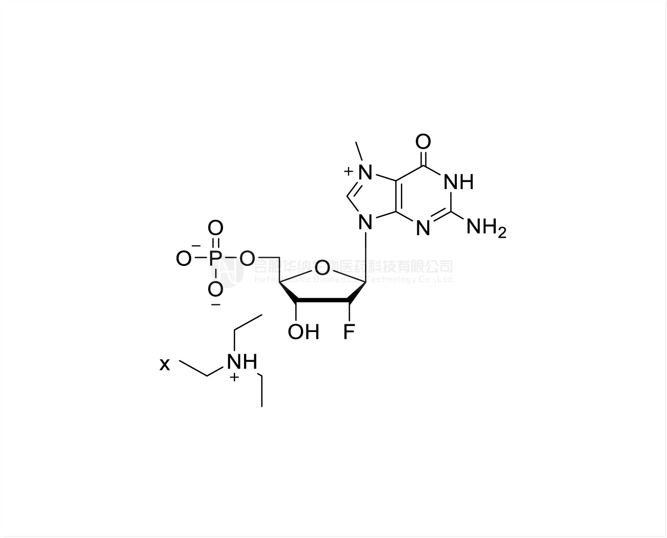 2'-F-m7GMP TEA Salt