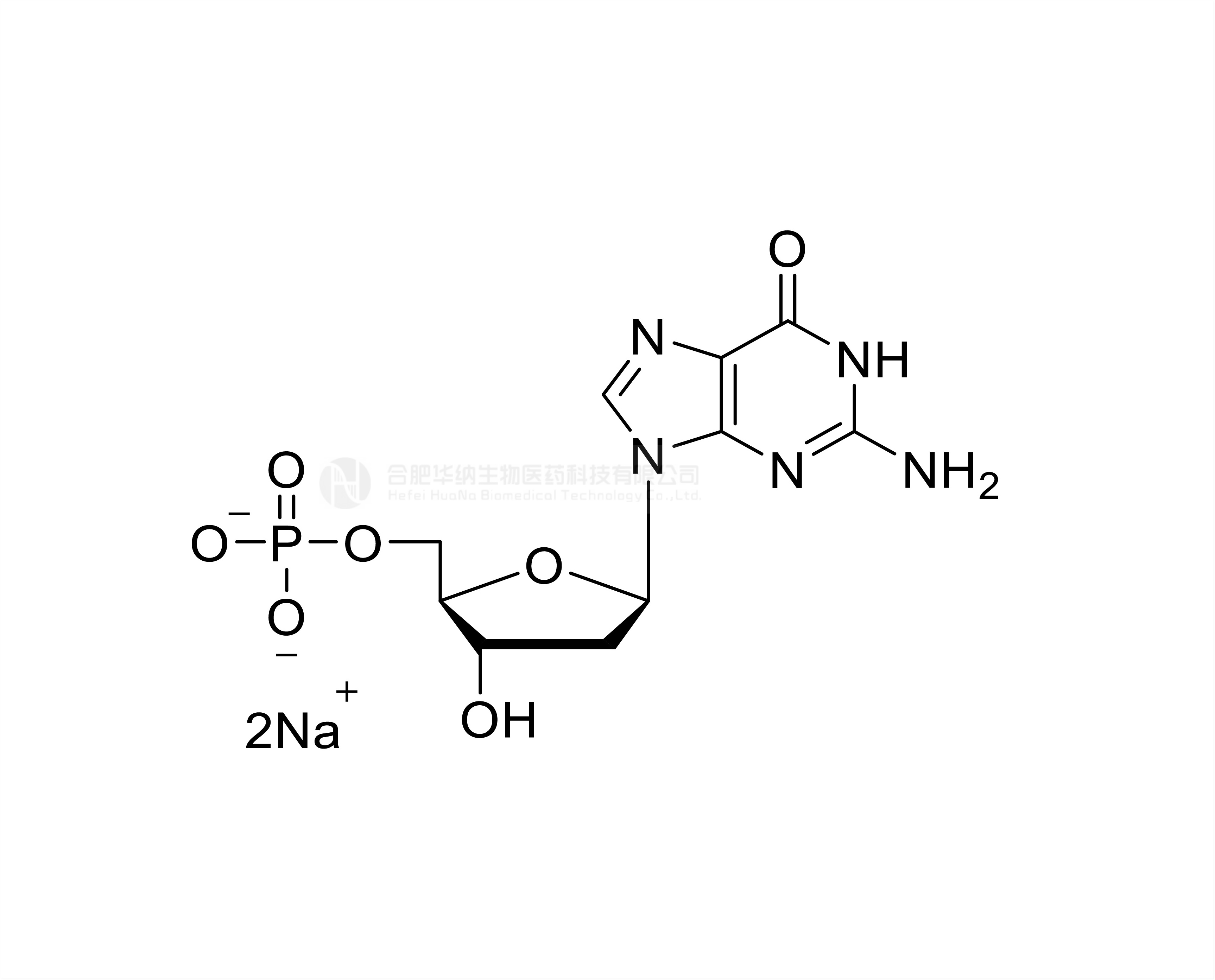 dGMP 100mM Sodium Solution