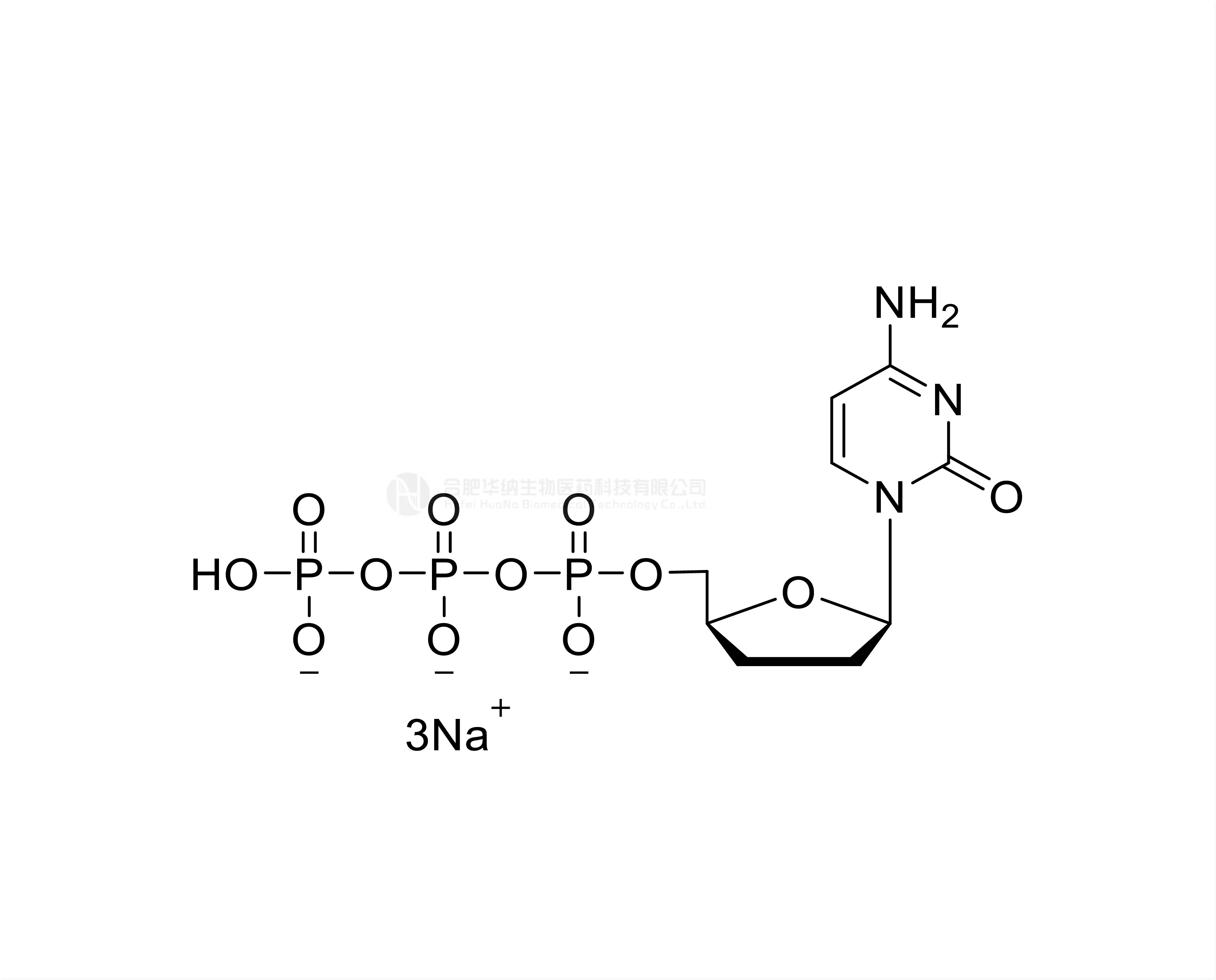 ddCTP 100mM Sodium Solution