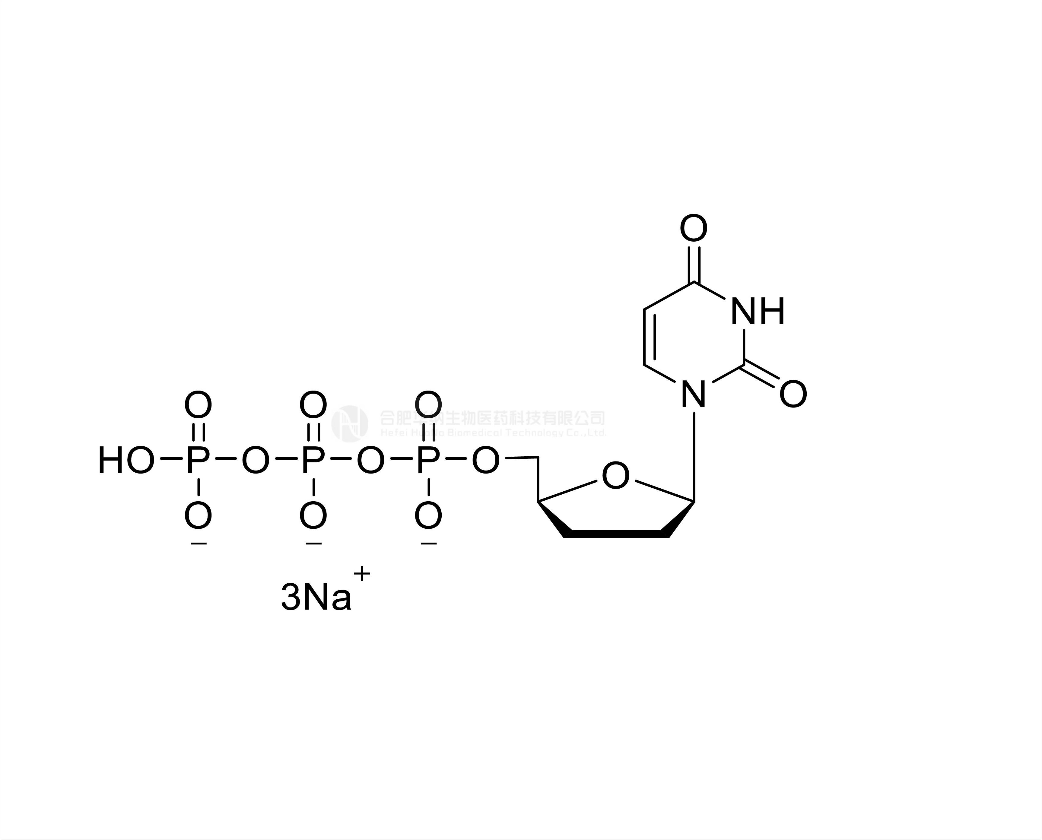 ddUTP 100mM Sodium Solution