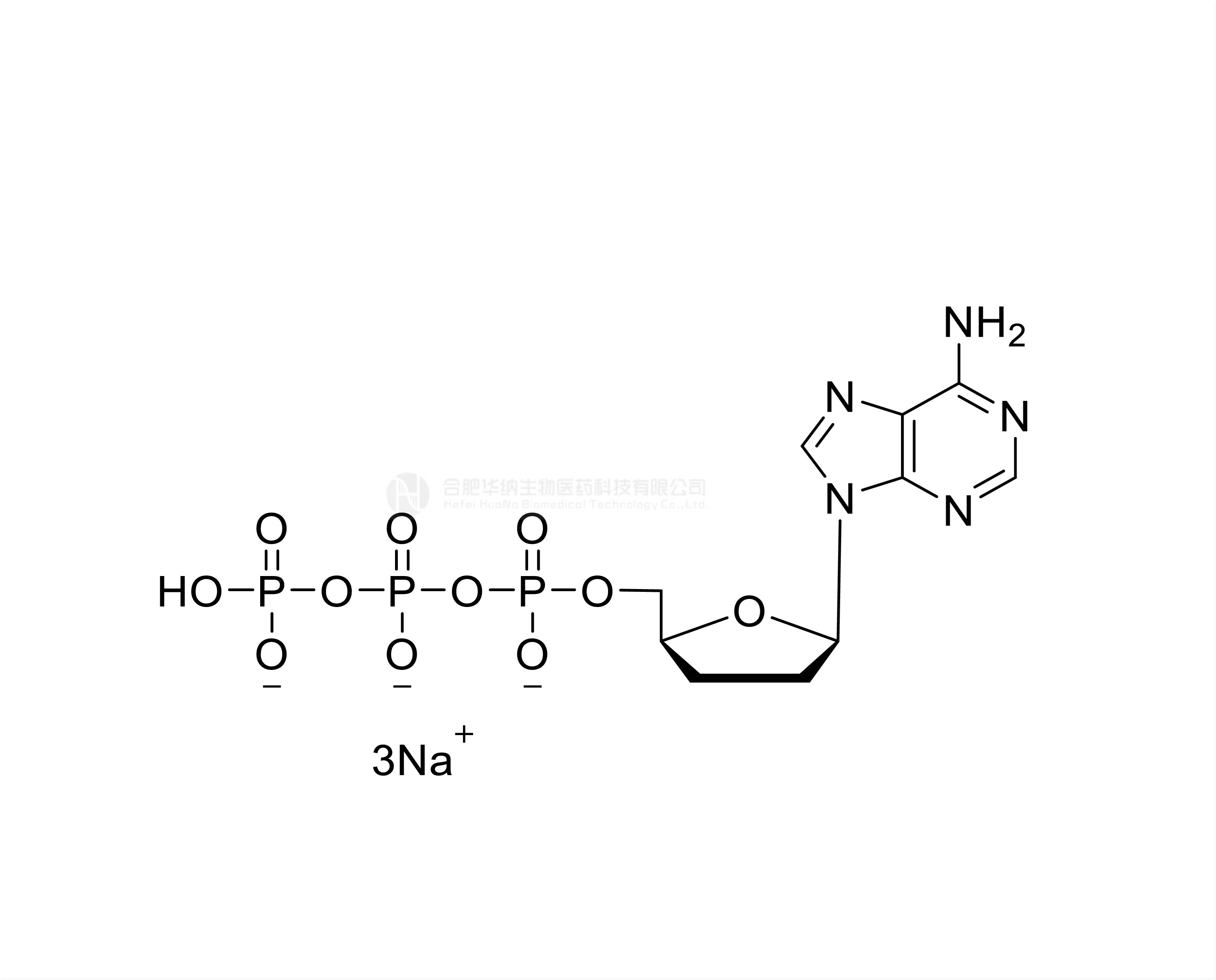 ddATP 100mM Sodium Solution