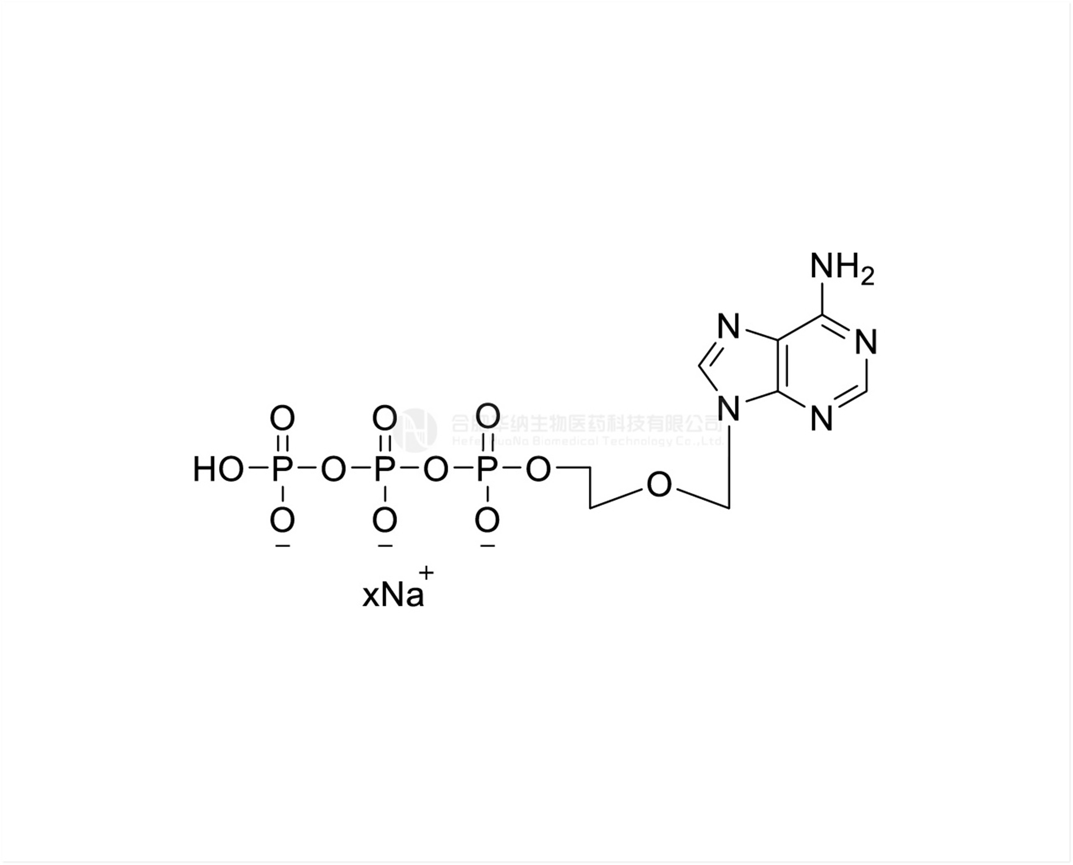 AcycloATP 20mM Sodium Solution