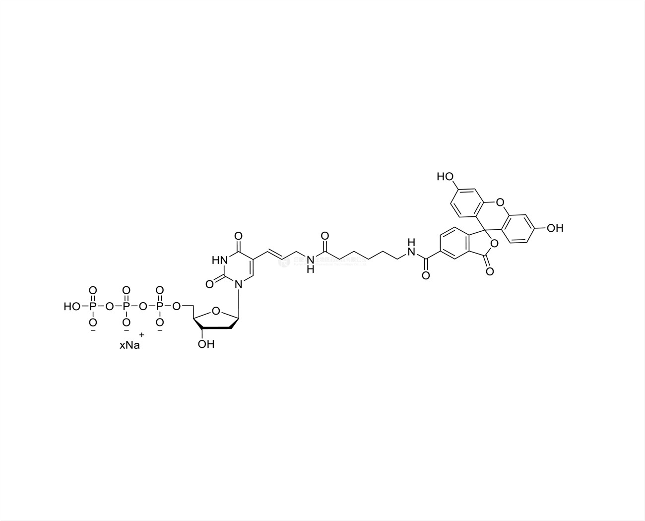 Fluorescein-12-dUTP 1mM Sodium Solution