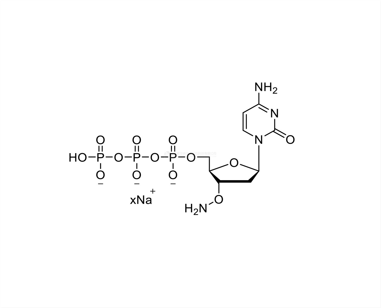 3'-ONH?-dCTP 100mM Sodium Solution