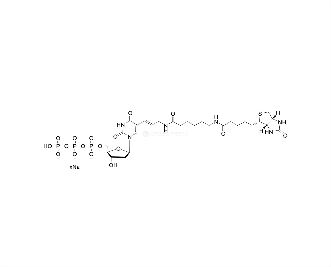 Biotin-11-dUTP 1mM Sodium Solution