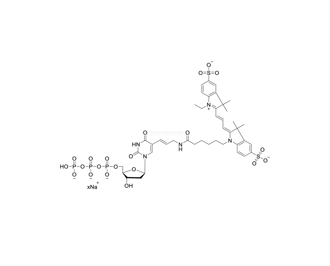 Cy3-dUTP 1mM Sodium Solution