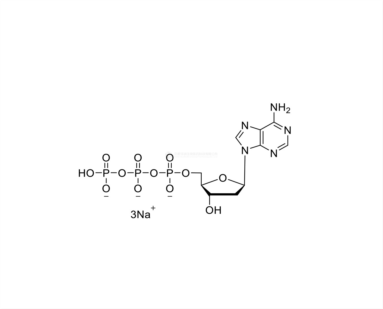 dATP 100mM Sodium Solution