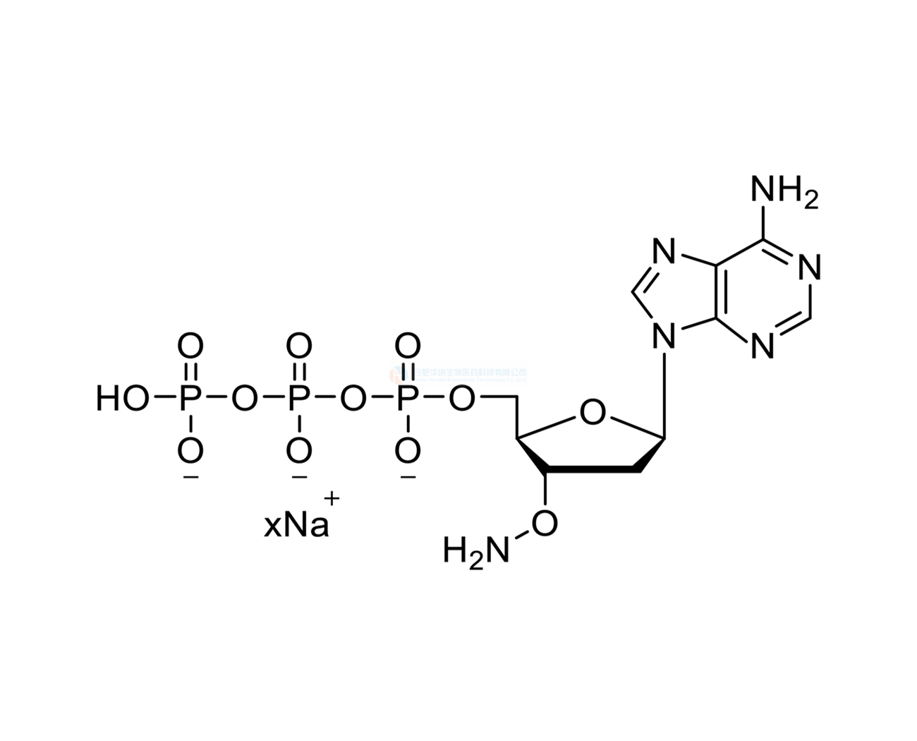 3'-ONH?-dATP 100mM Sodium Solution